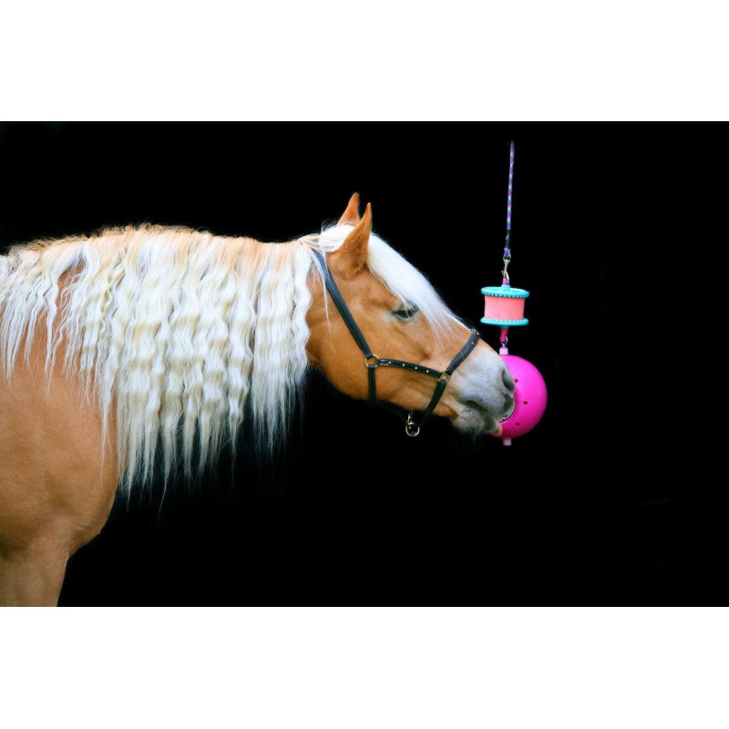 LIKIT Holder - Boredom breaker - Image 2