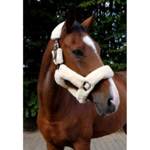 EQUITHÈME Teddy halter