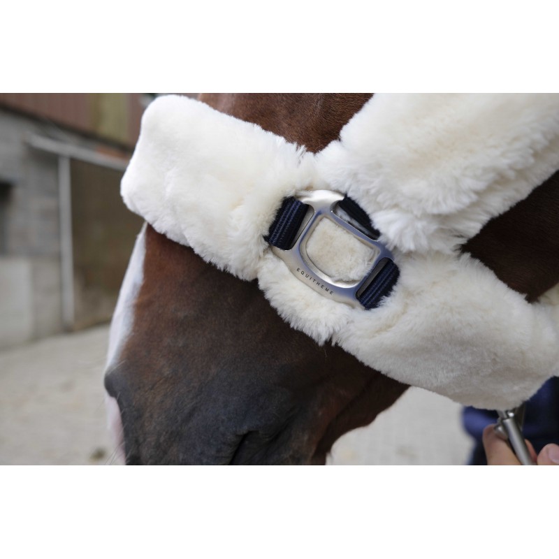 EQUITHÈME Teddy halter - Image 5
