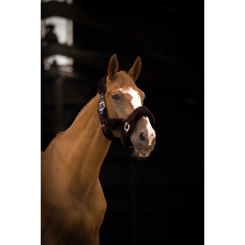 EQUITHÈME Teddy halter - Image 3