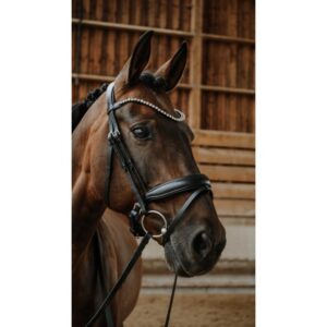 NORTON Bridle - Diams