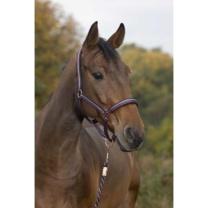 Halter and lead rope NORTON - Brilliant