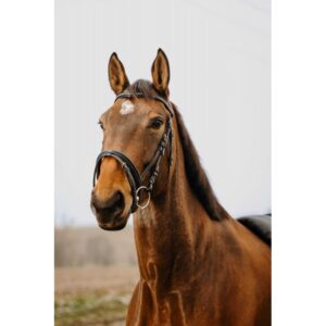 NORTON CLUB - Strass V - Bridle