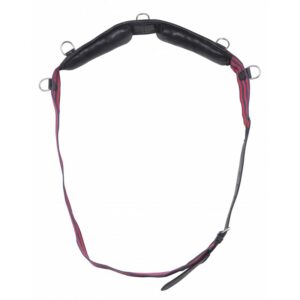 NORTON CLUB Web roller with rings