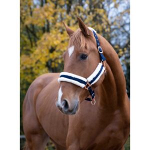 NORTON - Comfort - Headcollar