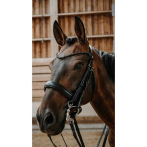 NORTON Double Bridle - Onyx (FULL)