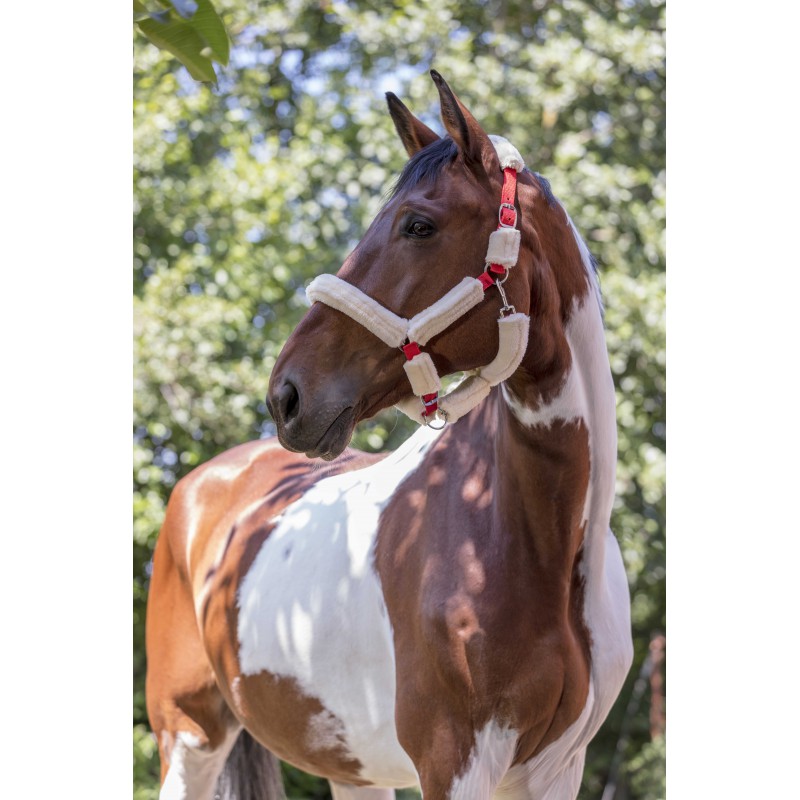NORTON Full Synthetic Sheepskin Headcollar - Image 5