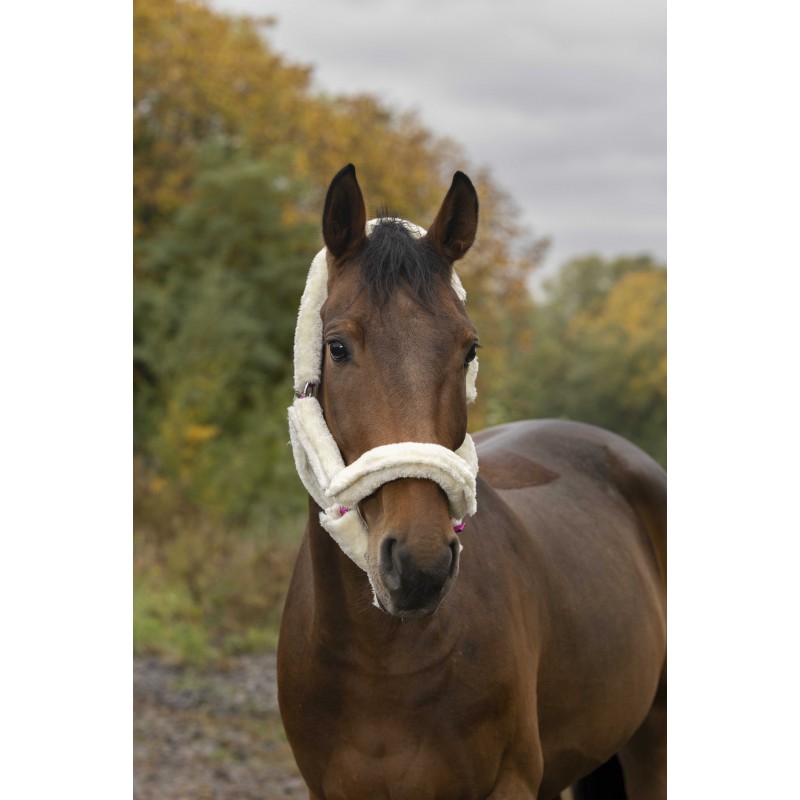 NORTON Full Synthetic Sheepskin Headcollar - Image 3