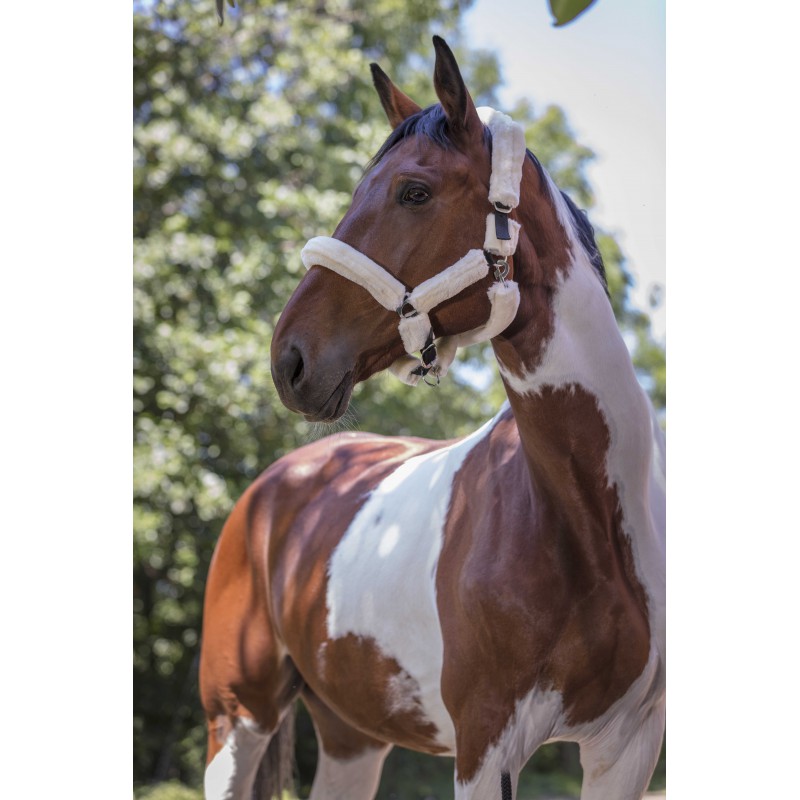 NORTON Full Synthetic Sheepskin Headcollar - Image 11