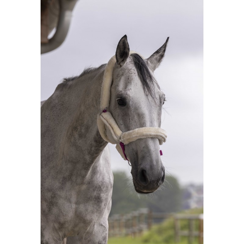 NORTON Full Synthetic Sheepskin Headcollar - Image 2
