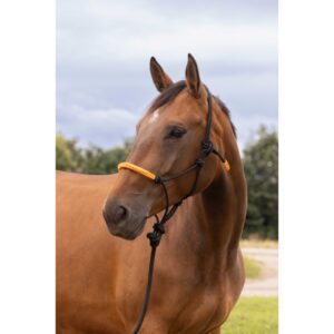 Knotenhalfter + Strick NORTON - Fun colour