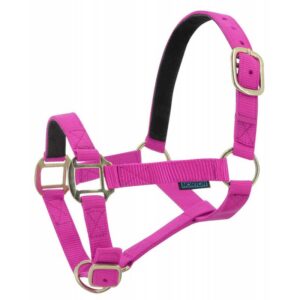 NORTON Leather Lined Nylon Headcollar