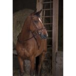 NORTON PRO Web Reins with handles - Image 2