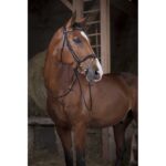 NORTON Rubber Reins (FULL) - Image 2