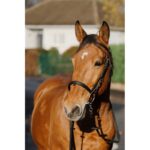 NORTON Training Bridle PVC - Image 3