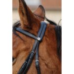 NORTON Training Bridle PVC - Image 2