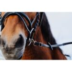 NORTON TRAINING PVC Rubber Reins - Image 4