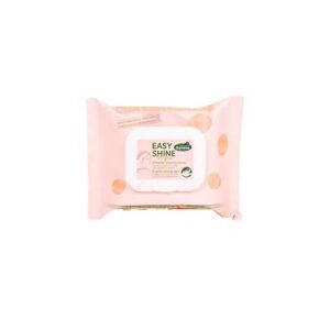 Easy Shine Wipe RAVENE - Cleaning Wipes