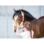 RAVENE Insect Repellent Protect Gel, Foam Tip 100 ml - Image 2