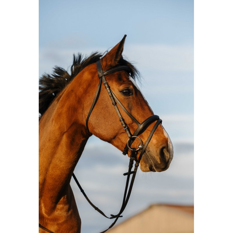RIDING WORLD Bridle - Padded combined noseband - Image 2
