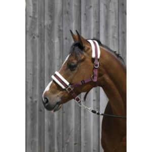 RIDING WORLD Headcollar, synthetic sheepskin