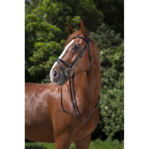 RIDING WORLD Bridle – Combined Noseband