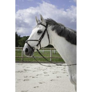 RIDING WORLD Bridle – Mexican Noseband