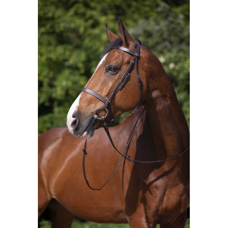 RIDING WORLD Bridle – French Noseband - Image 4