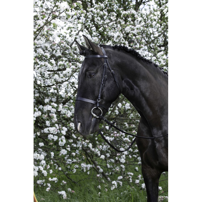 RIDING WORLD Bridle – French Noseband - Image 3