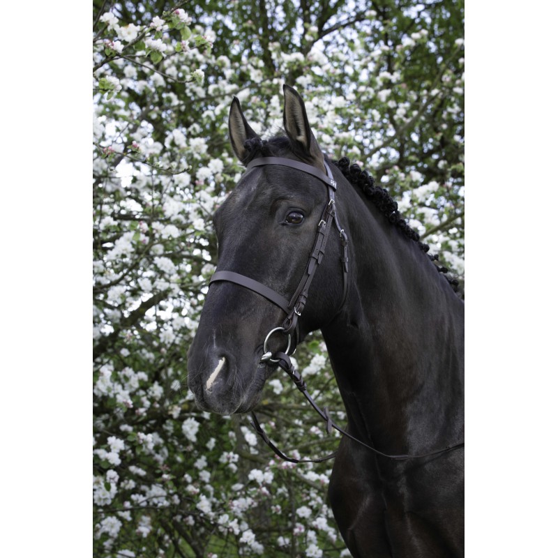 RIDING WORLD Bridle – French Noseband - Image 2