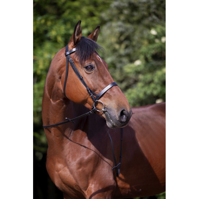 RIDING WORLD Bridle – French Noseband