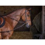 RIDING WORLD Pirelli side reins - Image 2