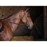 RIDING WORLD Standing martingale - Image 2