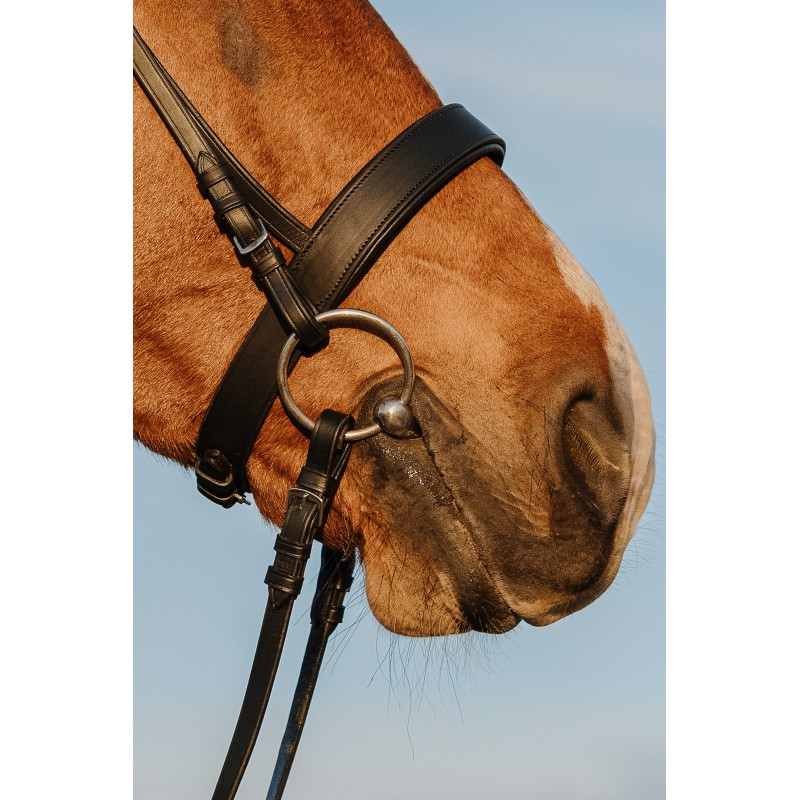 RIDING WORLD Bridle – Wide Noseband Bridle - Image 2