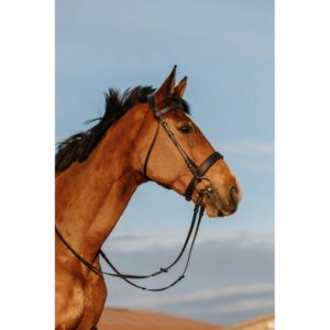 RIDING WORLD Bridle – Wide Noseband Bridle
