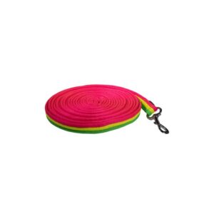 HKM Lunge line -Rainbow-