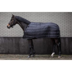 Armadillo LAMI-CELL Under Rug