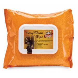 CHARLEE'S LEATHER - Easy Clean Wipes