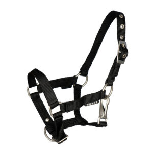 HORKA Foal halter with clip