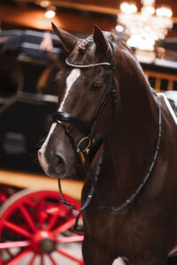 ANKY® Bridle Profi ATH25001 - Image 3