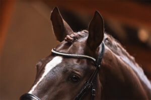 ANKY® Bridle Profi ATH25001 - Image 2