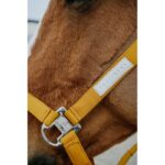 EQUITHÈME Halter - Opal - Image 3