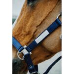 EQUITHÈME Halter - Opal - Image 11