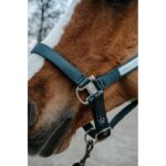 EQUITHÈME Halter - Opal - Image 13