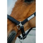 EQUITHÈME Halter - Opal - Image 9