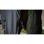 EQUITHÈME Sheet – Drycool Standard - Image 2