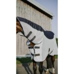 EQUITHÈME Sheet – Flycool Combo - Image 5