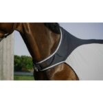 EQUITHEME Walker Sheet - Flycool - Image 3