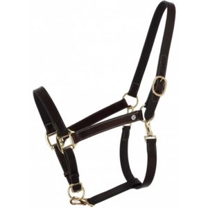 NORTON Derby Grooming Halter – Oiled Leather