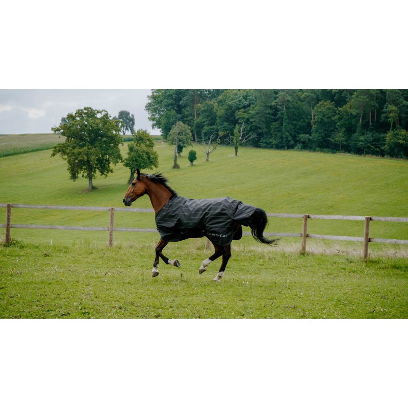 TYREX EQUITHÈME Turnout Rug - Lumin 600D - Image 7